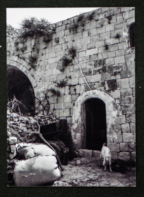 A Photograph of the Sihwail Family