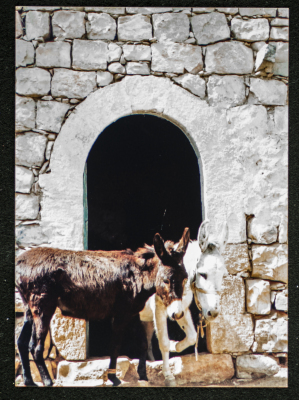 Ash-Shuʿayby Family Housh in Deir Ghassane,  Ramallah
