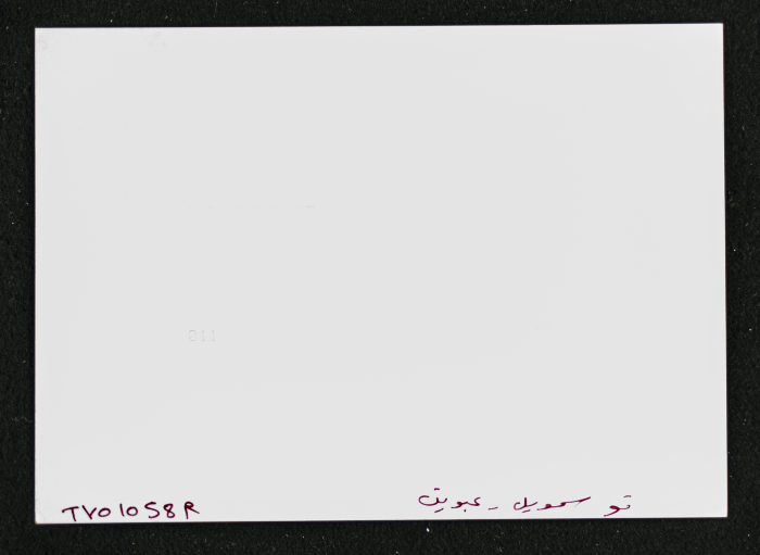 A Photograph of the Sihwail Family's Mansion in the Village Abwein
