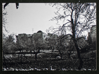 A Photograph of Ṣaleh al-Barghuthy