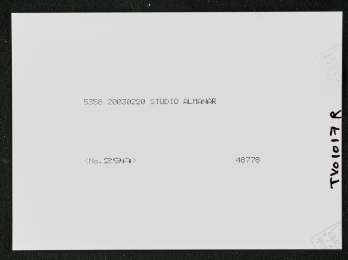 Al-Qasim's Palace in Beit Wazan - District of Nablus 