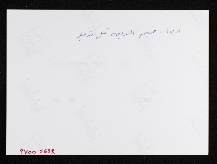 A Glimpse of the Village of Dayr Ghassana