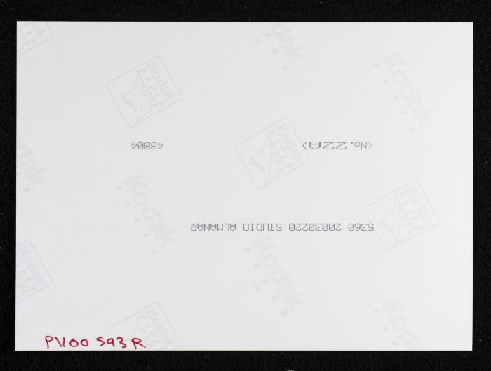 A Photograph of the Renovation Works at the Youth Union in Farkha Village, West of Salfit
