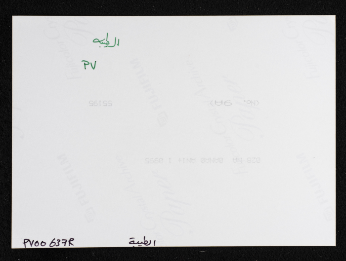 An Old Ancient House in Al-Taybeh Village - District of Ramallah 
