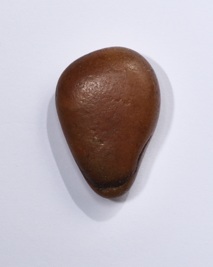 A plain piece (stone or wood) owned by shaheed Abdullah Alawneh