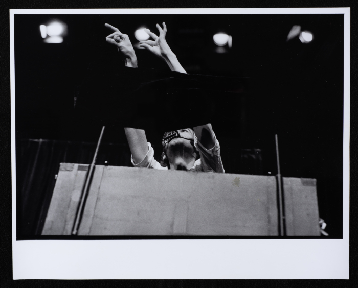 Al-Hakawati's 4th Palestinian International Puppet Festival 
