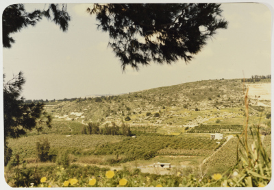 A General Scene, Qasmieh Community