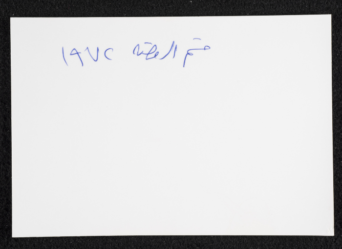 Pupils at Rawdat el-Zuhur