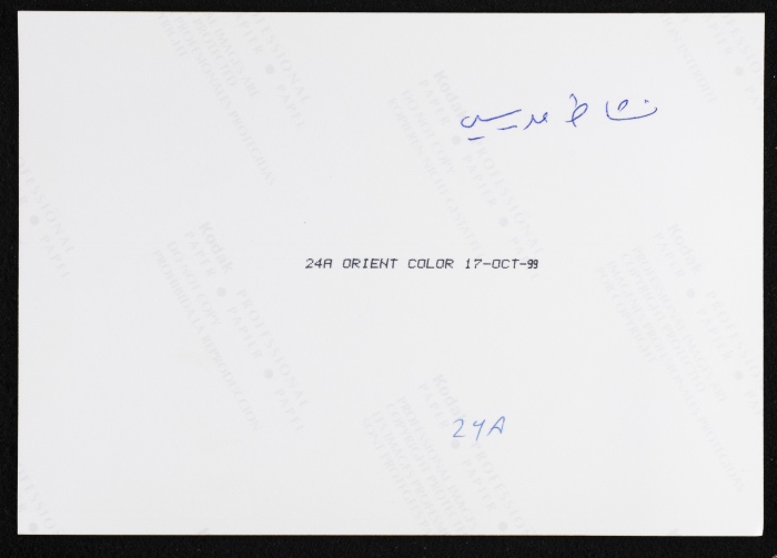 A Photograph of a School Activity at Rawdat el-Zuhur