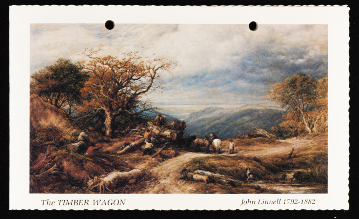 A Postcard Sent to Elizabeth Naṣer