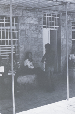 A Glimpse of an Activity Held by the Students