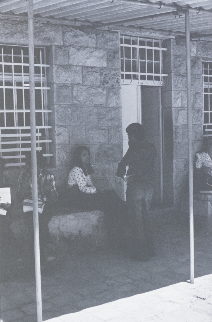 A Glimpse of an Activity Held by the Students' Council at Birzeit University 