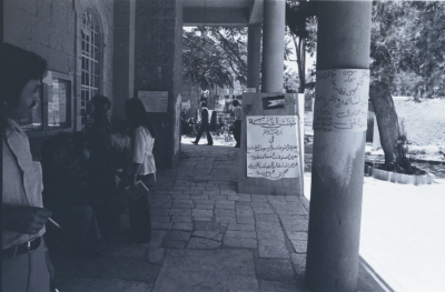 A Glimpse of an Activity Held by the Students