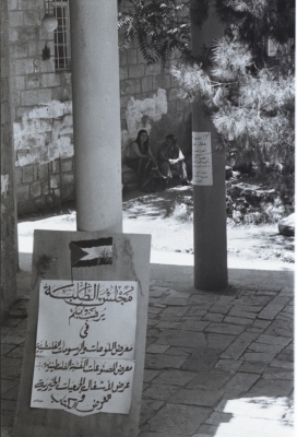 A Glimpse of an Activity Held by the Students