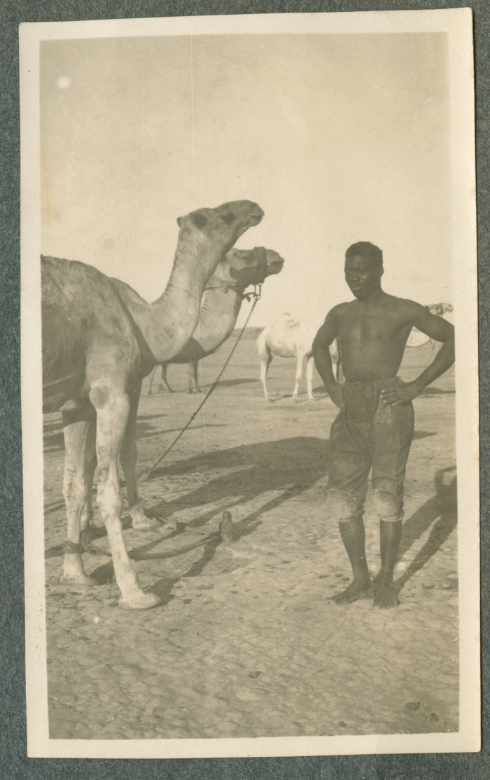 A Photograph of a Man Standing next to Camels