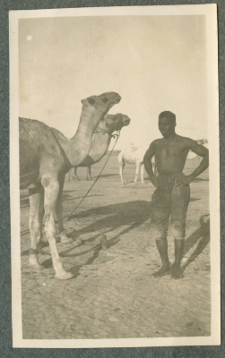 A Photograph of a Man Standing next to Camels