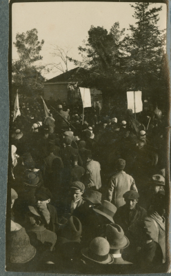 A Photograph of Protestors at a Demonstration