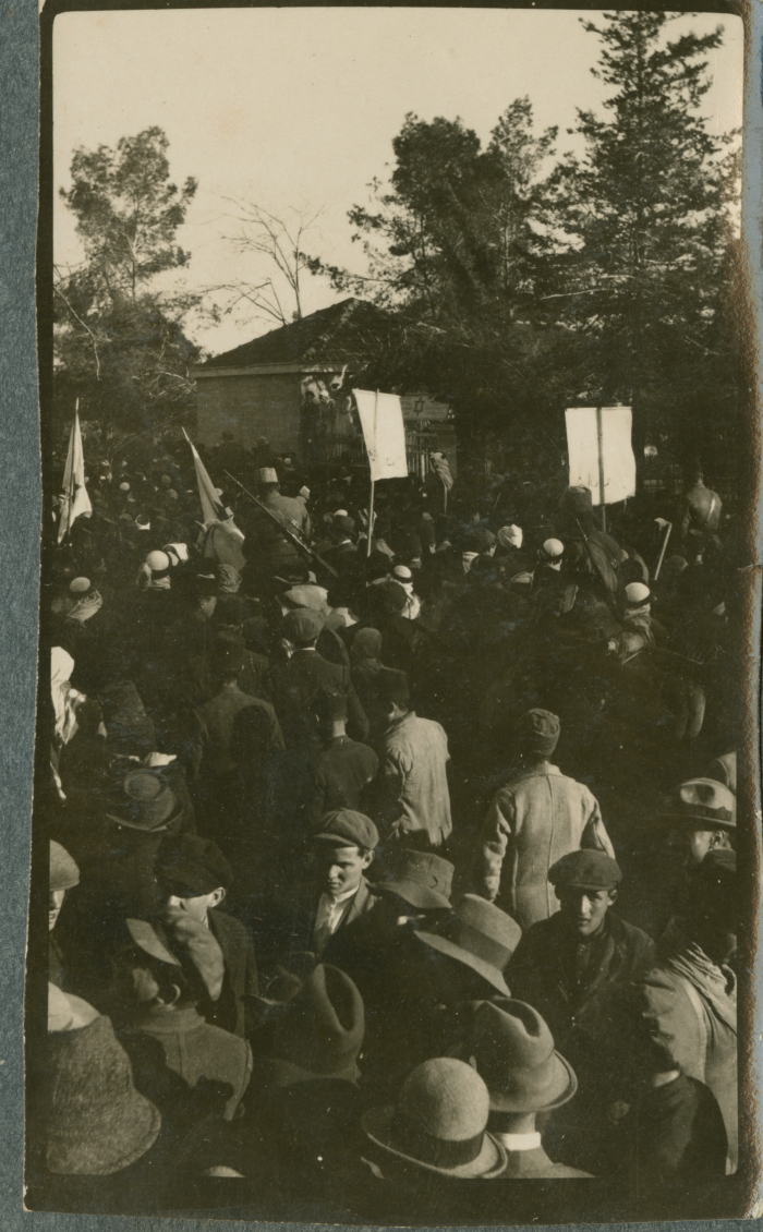 A Photograph of Protestors at a Demonstration