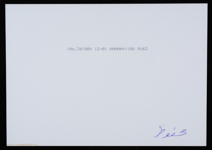 مهرجان الدمى والعرائس في المسرح الفلسطيني 
