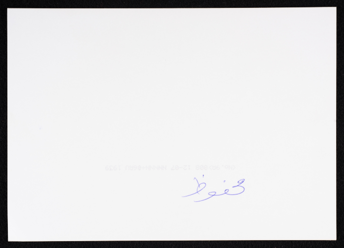 The Palestinian International Puppet Festival Street Events
