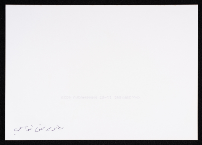 جولات الشوارع في مهرجان الدمى والعرائس