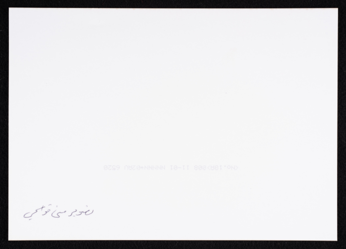 The Palestinian International Puppet Festival Street Events
