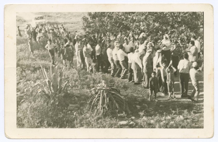 The "Zaffa" of the groom Ghazi Abu Al-Suod, Rifidia, 1972