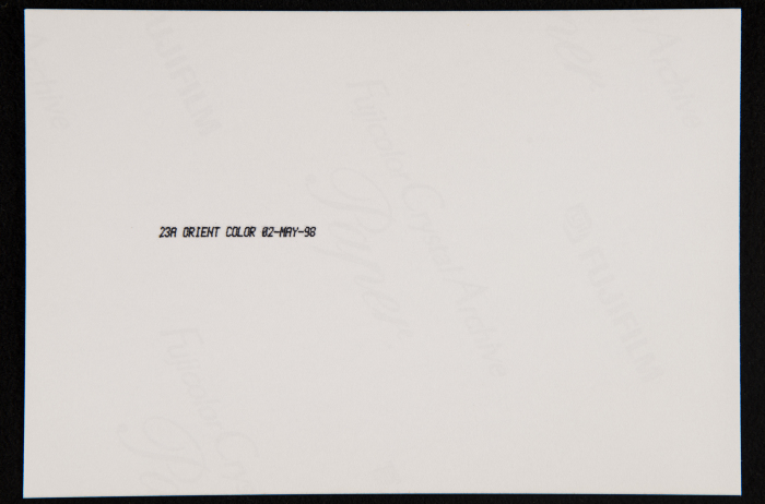A Photograph from 