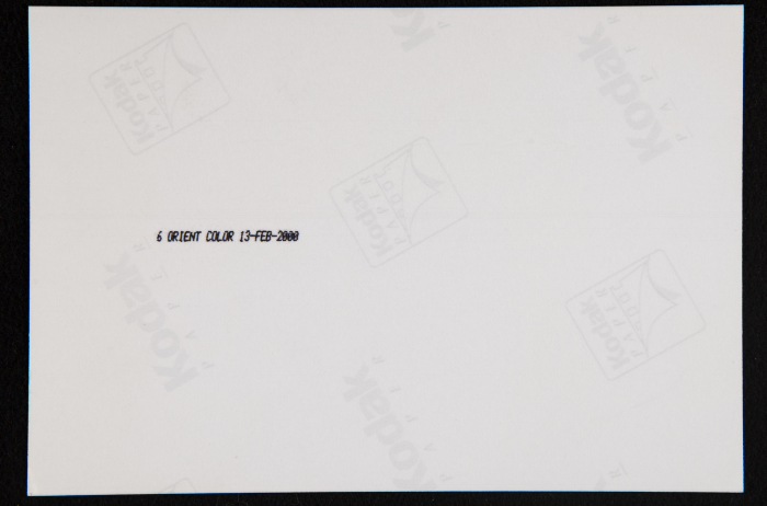 A Photograph from 
