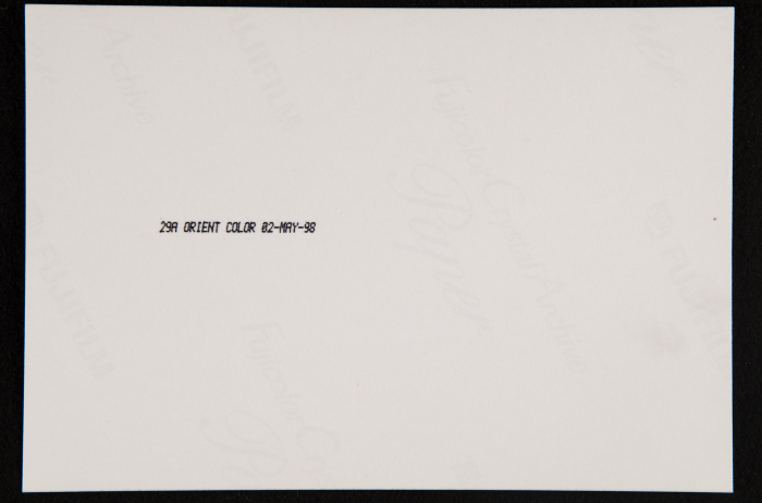 A Photograph from 