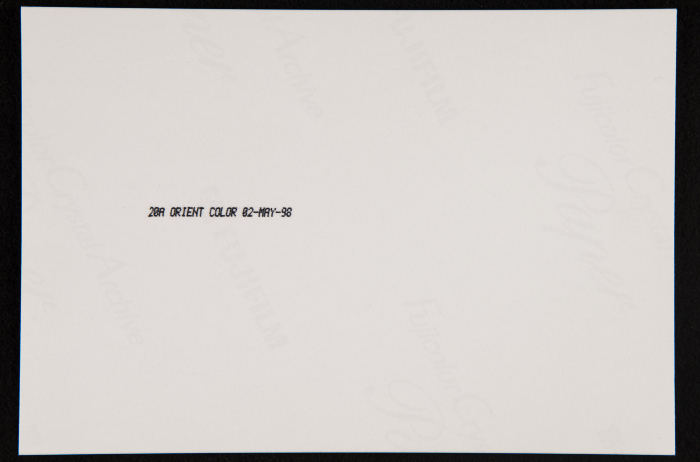 A Photograph from 