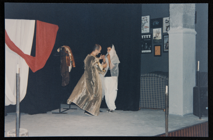 A Glimpse of the Theatrical Performance of 