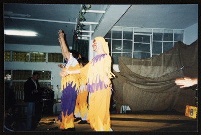 A Glimpse of the Theatrical Performance of 