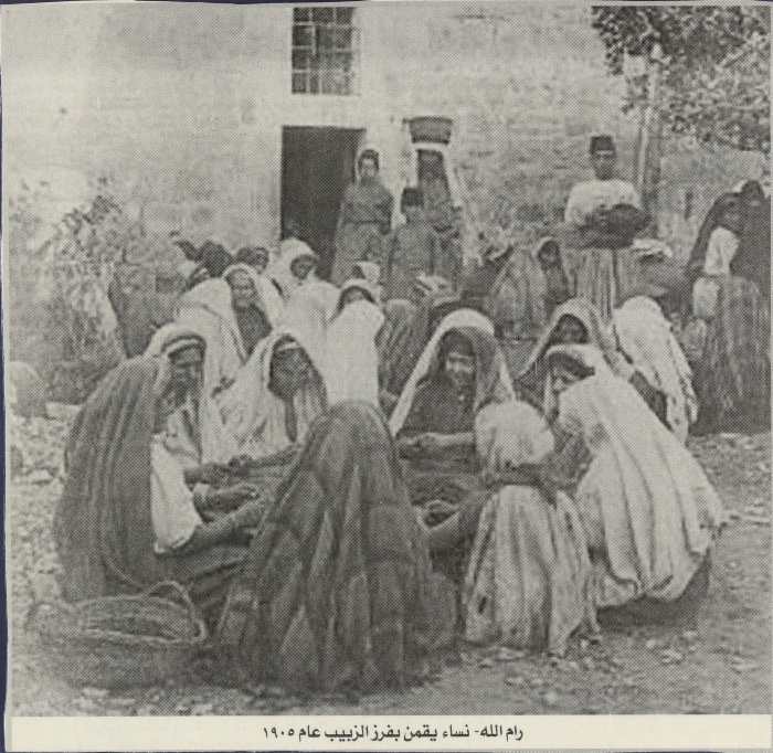 نساء يقمن بفرز الزبيب عام 1905 في مدينة رام الله