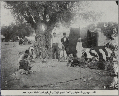 مهجرون فلسطينيون تحت أشجار الزيتون في قرية بيت نبالا عام 1948