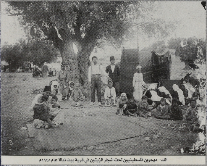مهجرون فلسطينيون تحت أشجار الزيتون في قرية بيت نبالا عام 1948