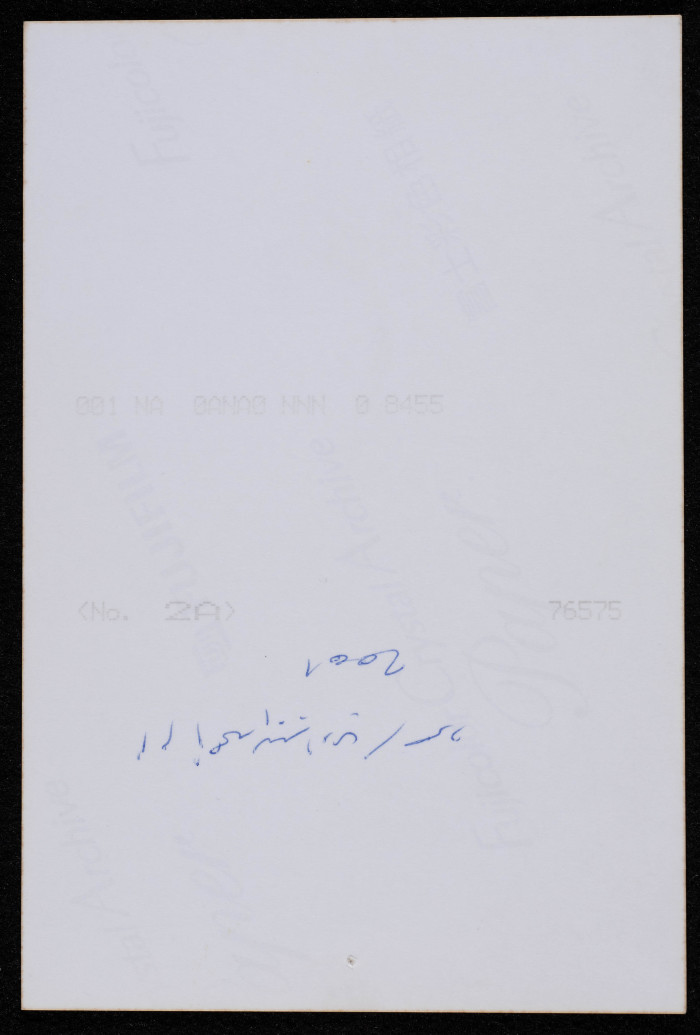 A Photograph of Em Ahmad al-Birawy Picking Olives, 2001