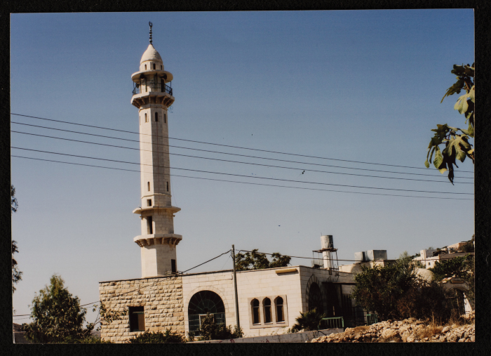 A Photograph of 