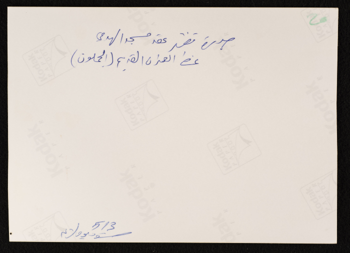 مسجد الهدمي، الشيوخ 