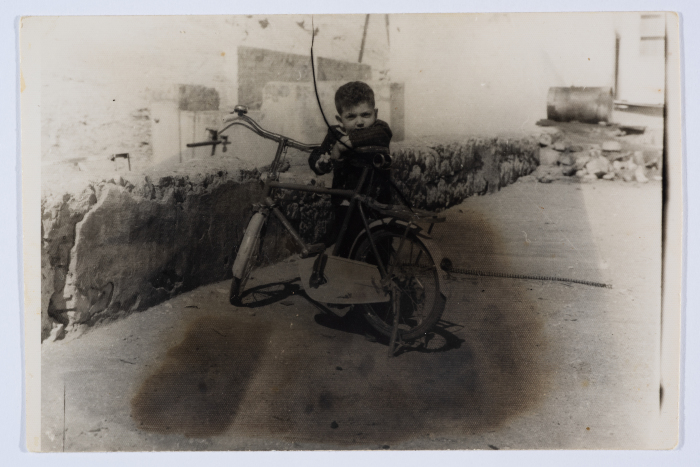 عباس محمد عباس حواري