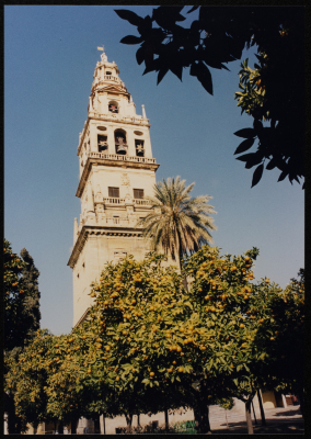 صورة من جولة القصبة إلى إسبانيا، 1995