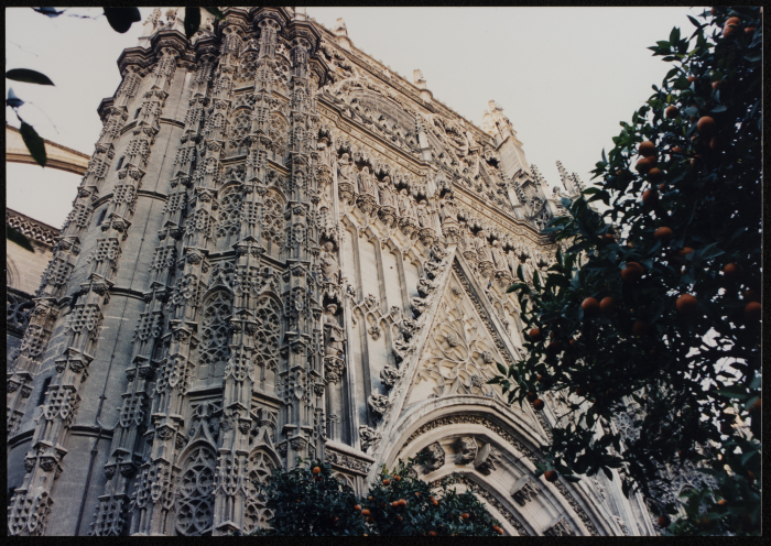 صورة من جولة القصبة إلى إسبانيا، 1995