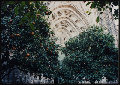 A Photograph of al-Kasaba's Spain Tour, 1995
