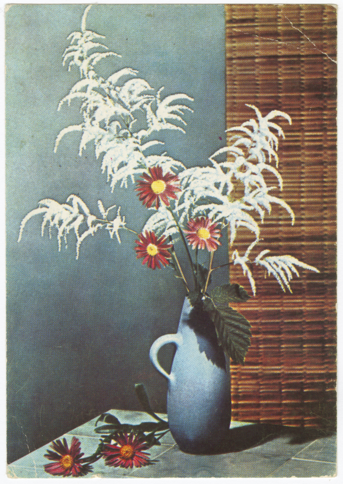 A Postcard From Iman al-Qasim to Her Mother, the 1970s