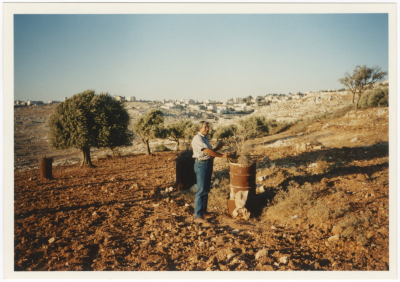 A Photograph of Hasan abu Khdair Planting Olive Trees in Shu