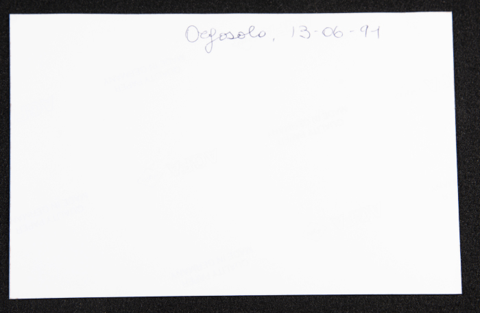 A Photograph of a Performance by al-Hannouneh Troupe