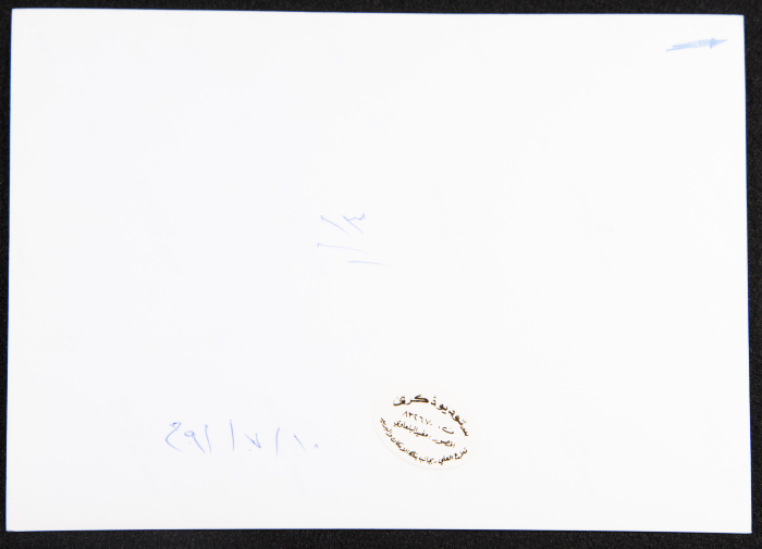 A Photograph of a Performance by al-Hannouneh Troupe