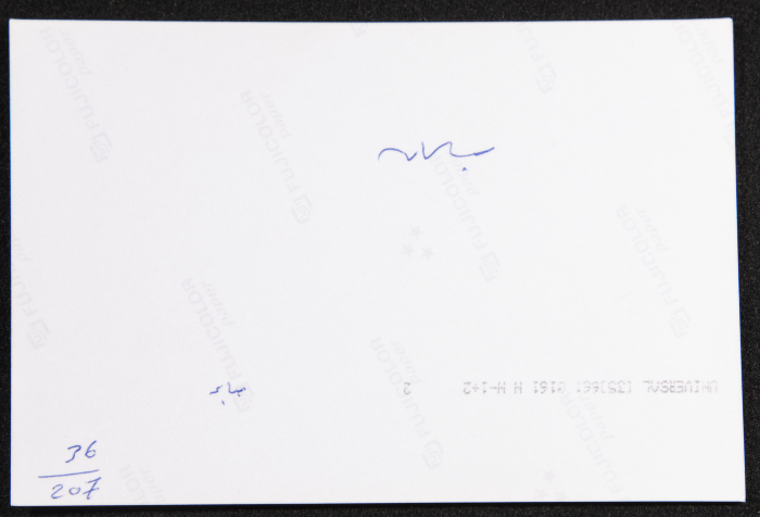 A Photograph of a Performance by al-Hannouneh Troupe