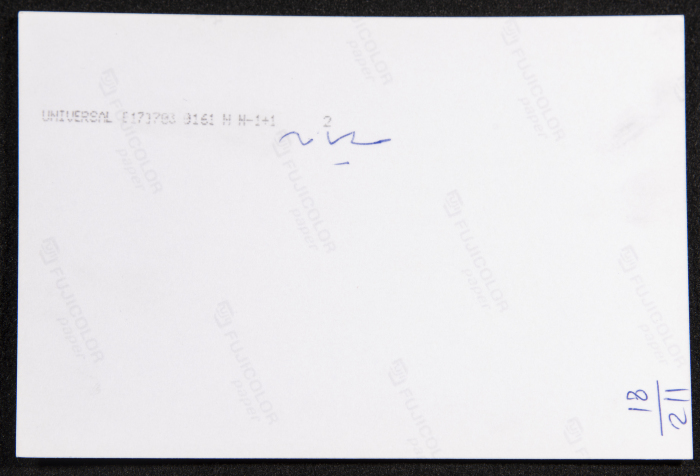 A Photograph of a Performance by al-Hannouneh Troupe