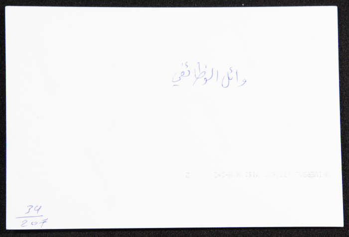 A Photograph of a Performance by al-Hannouneh Troupe